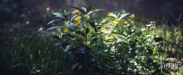 网友晒出《黑神话》绝美摄影：我显卡就是干这个的！-第8张图片