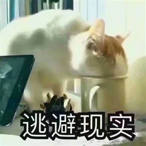 《黑神话》卖爆了，还有人说“中国人做不出好游戏”吗？-第15张图片