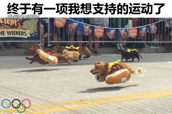 贫也能造假了 大腿肉加大腿袜的晚间囧图-第4张图片