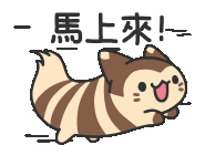 宝可梦联动《猫猫虫咖波》！推出超魔性宝可梦贴纸！-第13张图片