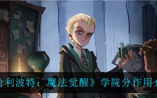 《哈利波特：魔法觉醒》学院分作用介绍