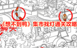 在意想不到的鸭子市场中寻找灯光，并找出市场中所有的灯光。