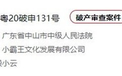 未来再无小霸王 小霸王公司申请破产重整