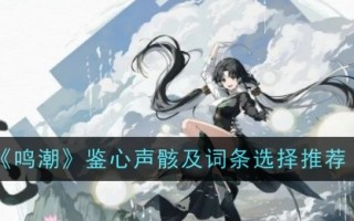 《明潮》的寻心骨架与词条选择推荐