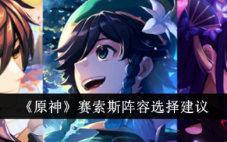 关于《原神》中赛斯阵容选择的建议