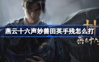 燕云十六声妙善田英手残怎么打 燕云十六声中等难度妙善田英手残打法