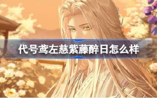 代号风筝怎么样左慈紫藤醉日代号风筝5.9新地宫攻略。