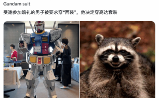 男子COS成高达参加婚礼 结果很受新婚夫妇欢迎