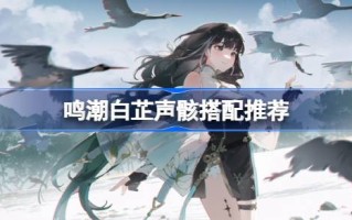 如何搭配白芷的声音骨架和白芷的声音骨架