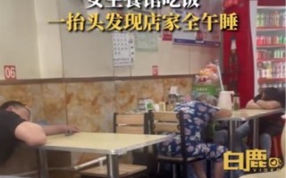 山西午睡文化已经不分物种了：家里的猫 路上的狗