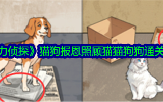 《大脑侦探》猫狗报恩照顾猫狗。