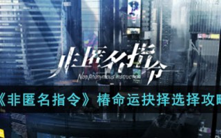 《非匿名指令》椿命运抉择选择攻略