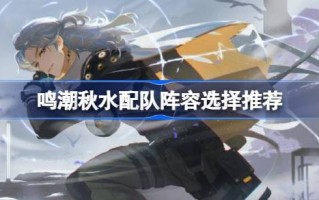 明超秋水队阵容怎么选？