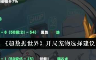 超级数据世界开启时的宠物选择建议