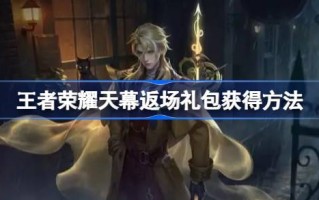 王者荣耀天幕返程套餐怎么领取王者荣耀天幕返程套餐？