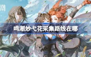 明朝苗毅花的收藏路线在哪里？明朝苗毅花收藏路线一览