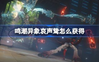 如何获得鸟的歌声和叫声以及如何获得攻略