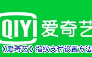 爱奇艺指纹支付设置方法
