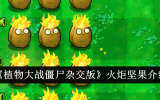 植物大战僵尸混合版中的火炬坚果介绍