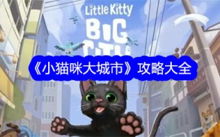 《小猫大城市》简介