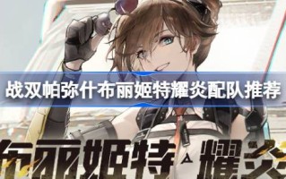 如何搭配帕米尔高原的布里吉特特么岩队？
