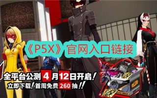 P5X的官网入口链接