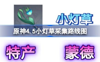 原基4.5乌药的收集路线图如何快速获得原基4.5乌药？