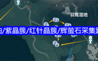 明潮种植珍珠/紫水晶串/红针串/萤石采集路线