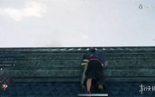 《浪人崛起》是否需要联网说明