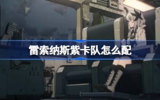 雷索纳斯寨卡队如何搭配以及雷索纳斯寨卡队的建造方法