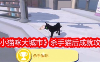 《小猫咪大城市》黑仔追猫成果介绍