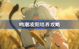 明超陵阳训练攻略明超陵阳音骨推荐武器阵容