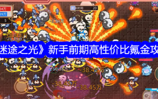 《迷途之光》初学者早期性价比高的氪星攻略