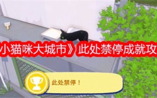 “小猫大城市”禁止在此停留。