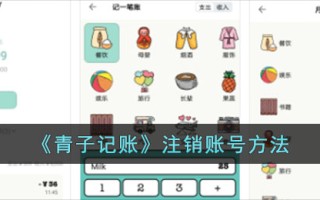 青子记账法中的销户方法