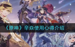 《原神》辛焱使用心得介绍