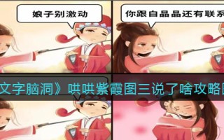 《文字脑洞》哄哄紫霞图三说了啥攻略图文