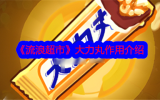 大荔丸在流浪超市中的作用介绍