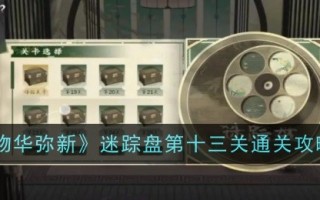 《万物皆美》神秘碟片第十三关攻略