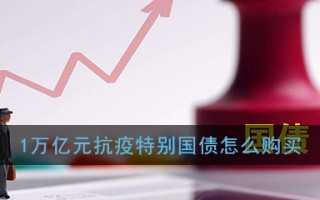 1万亿元抗疫特别国债购买方法