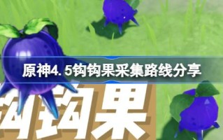 原神4.5钩果收集路线分享原神4.5钩果哪里有卖的？