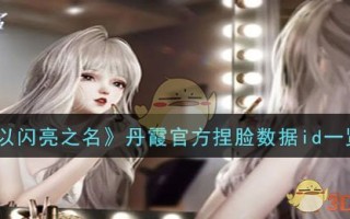 《以闪亮之名》丹霞官方捏脸数据id一览