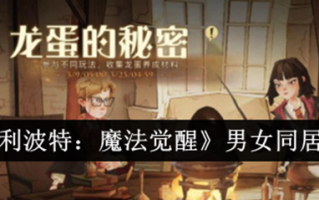 《哈利·波特:魔法觉醒》男女同居简介