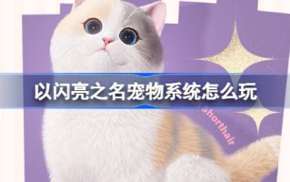 以闪亮之名的宠物系统怎么玩以闪亮之名的宠物系统活动介绍。