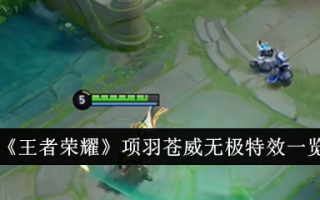 王者荣耀中项羽臧伟无限特效一览