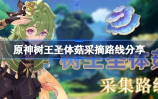 原神树王圣提菇采摘路线分享。哪里有卖原味神树王圣提菇的？
