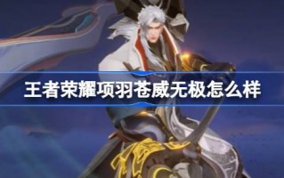《王者荣耀项羽臧伟武姬》怎么样？王者荣耀项羽臧伟武姬皮肤游戏攻略