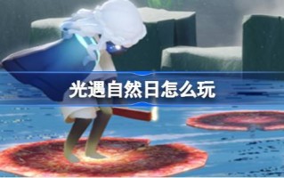 自然天怎么玩？2024年海洋节活动介绍。