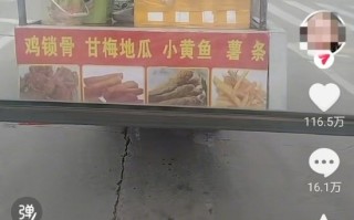 家里想让体验生活的苦:17岁男生退学摆摊10天收入万