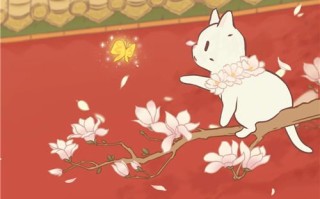 4月25日在X宫的猫和汤。
